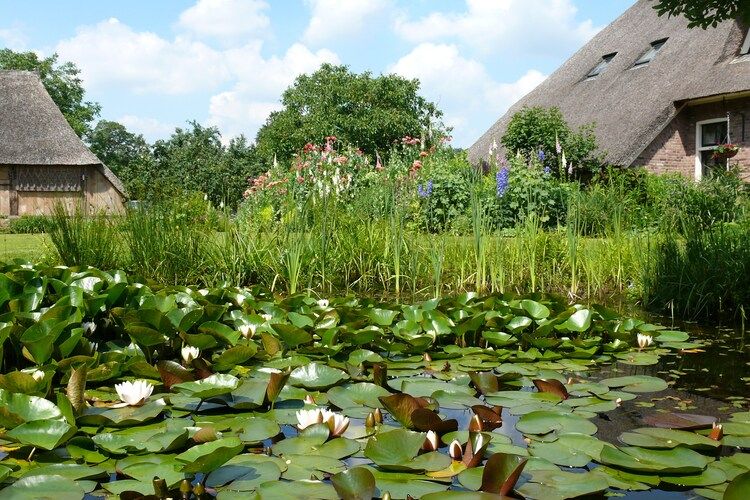 De Wheemhof in Zweeloo Drenthe NL, Nederland