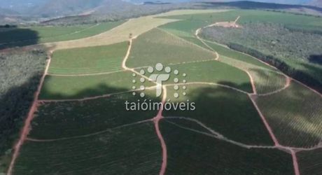 Fazenda à venda Região Almenara MG 61.137.500m2 - Referência TI414