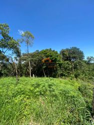 Terreno à venda Chácaras São José Franco da Rocha SP 1.000m2 - Referência 2570