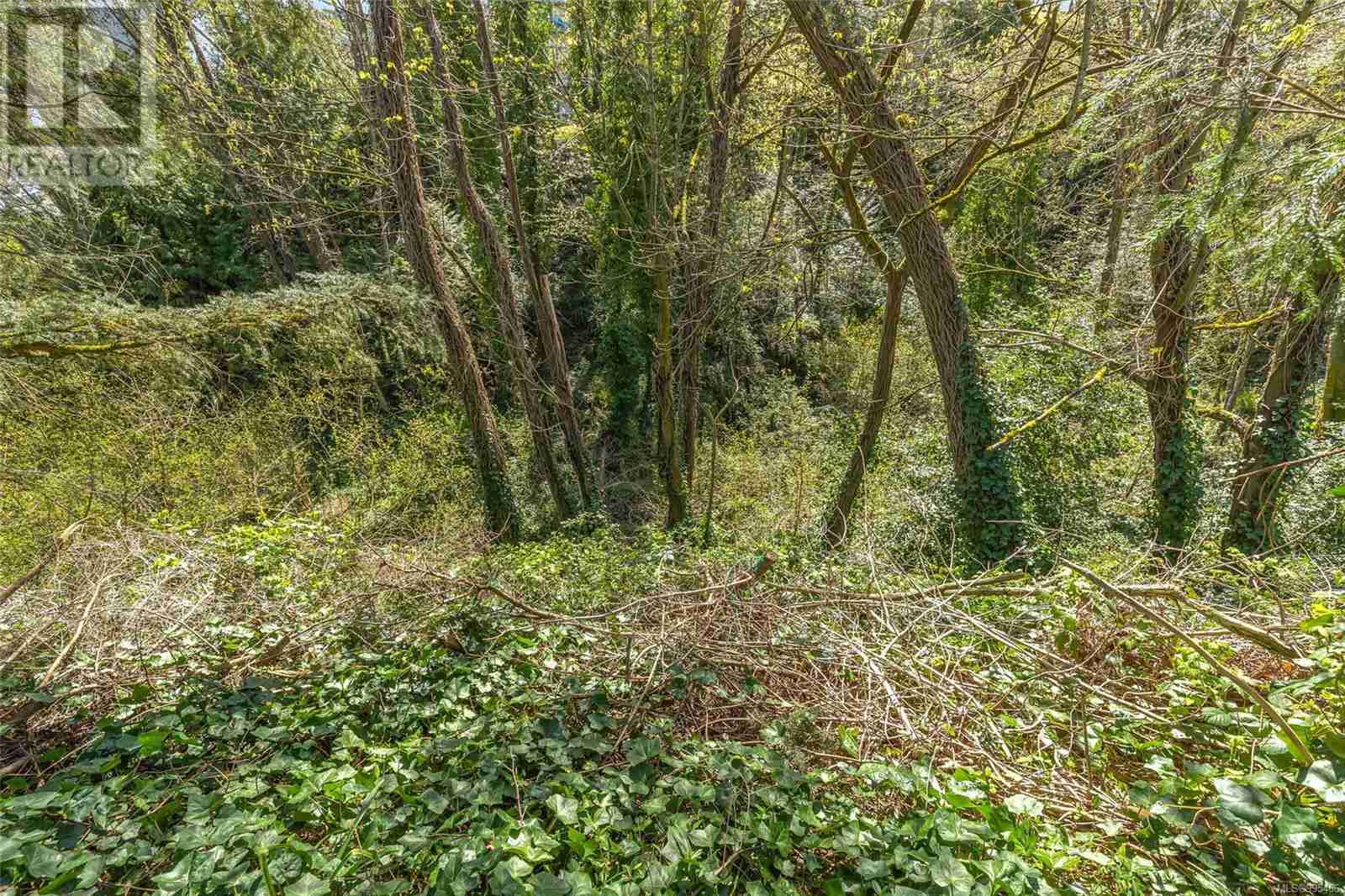 1025 Vancouver Ave Brechin Hill