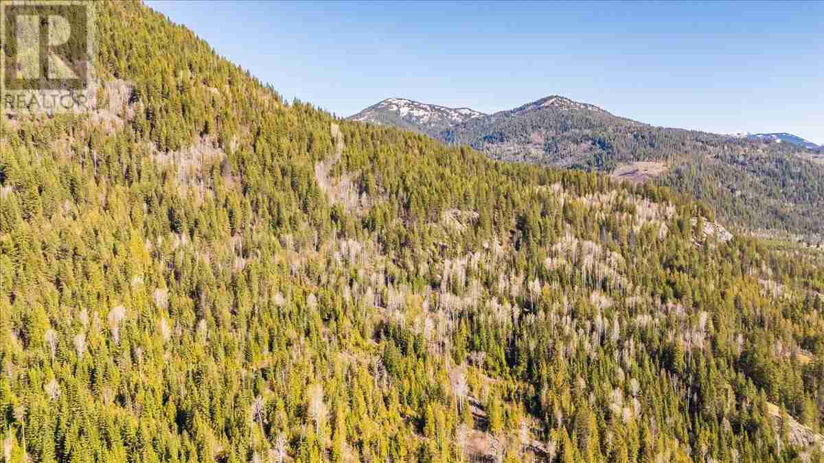 8751 Highway 6 Village of Salmo