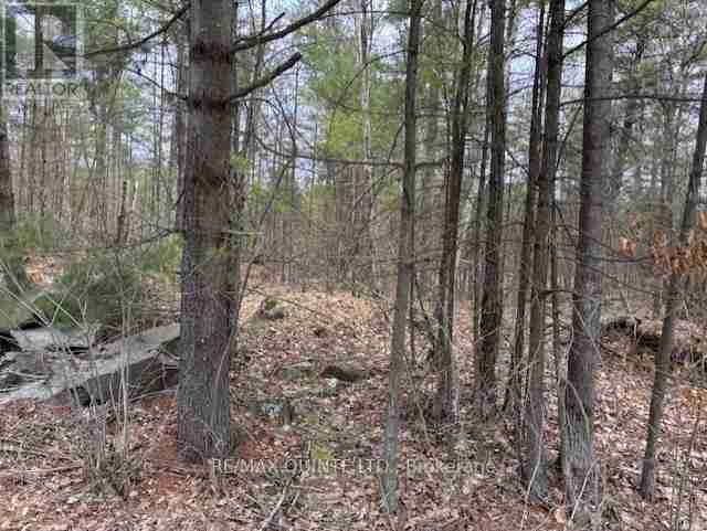 325 BRIDGEWATER ROAD