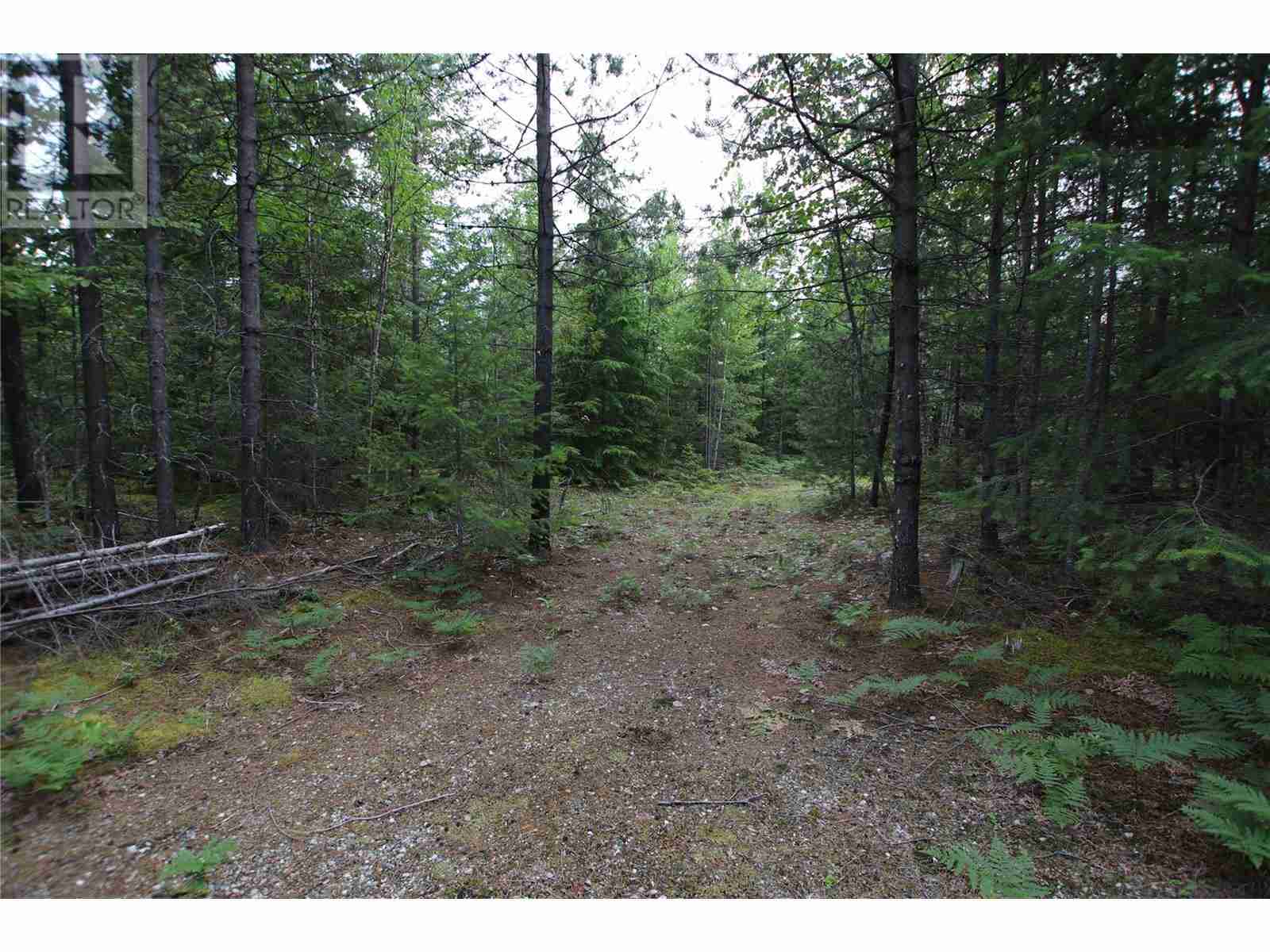 854 Alexander Road Nakusp Rural