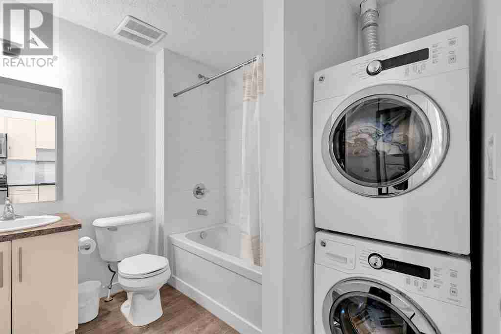 308, 1740 9 Street NW Mount Pleasant