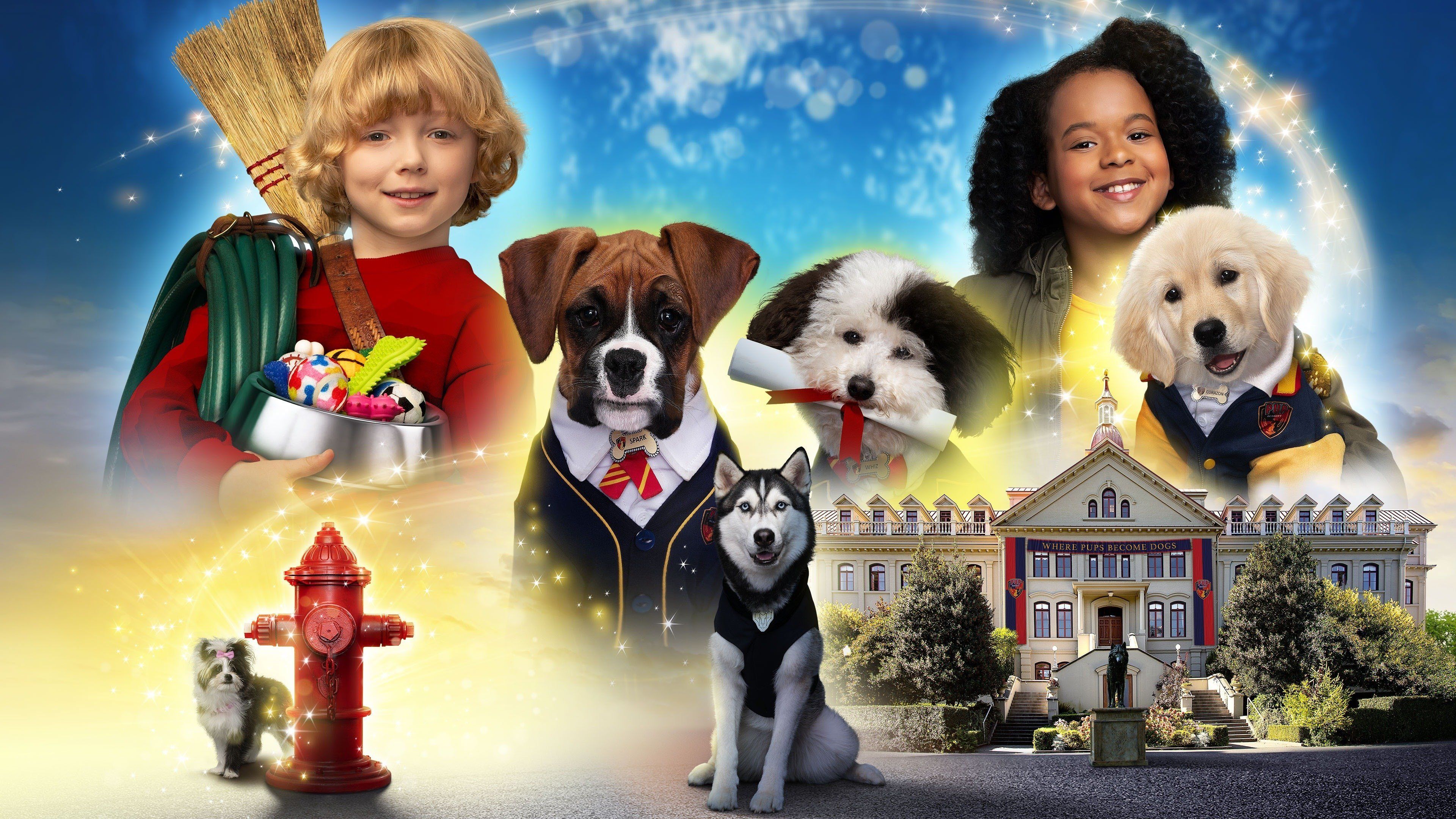 Watch Pup Academy (2019)