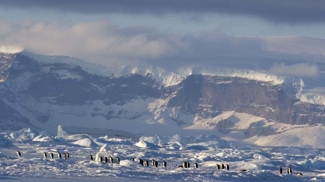 Watch March of the Penguins 2: The Next Step (2017)
