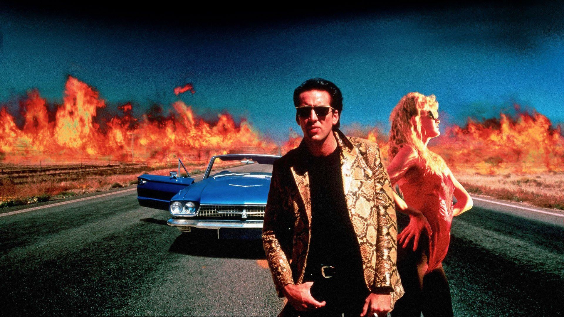 Watch Wild at Heart (1990)