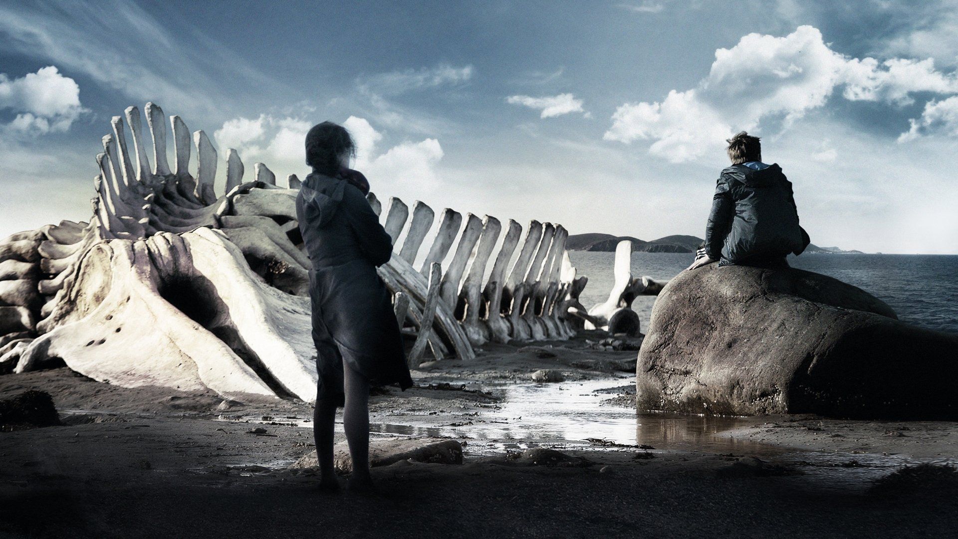 Watch Leviathan (2014)
