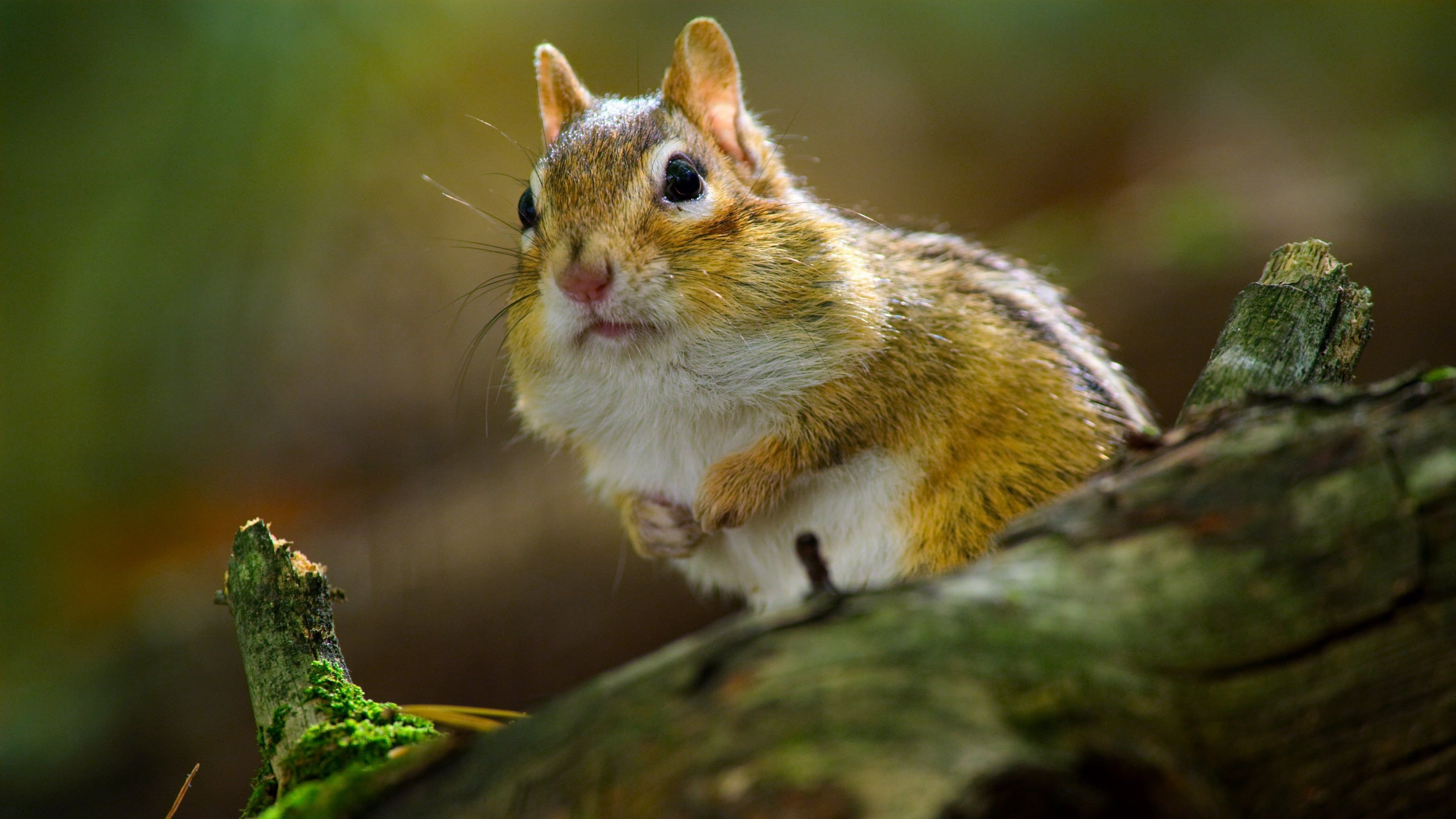 Watch Tiny World Season 1 Episode 5