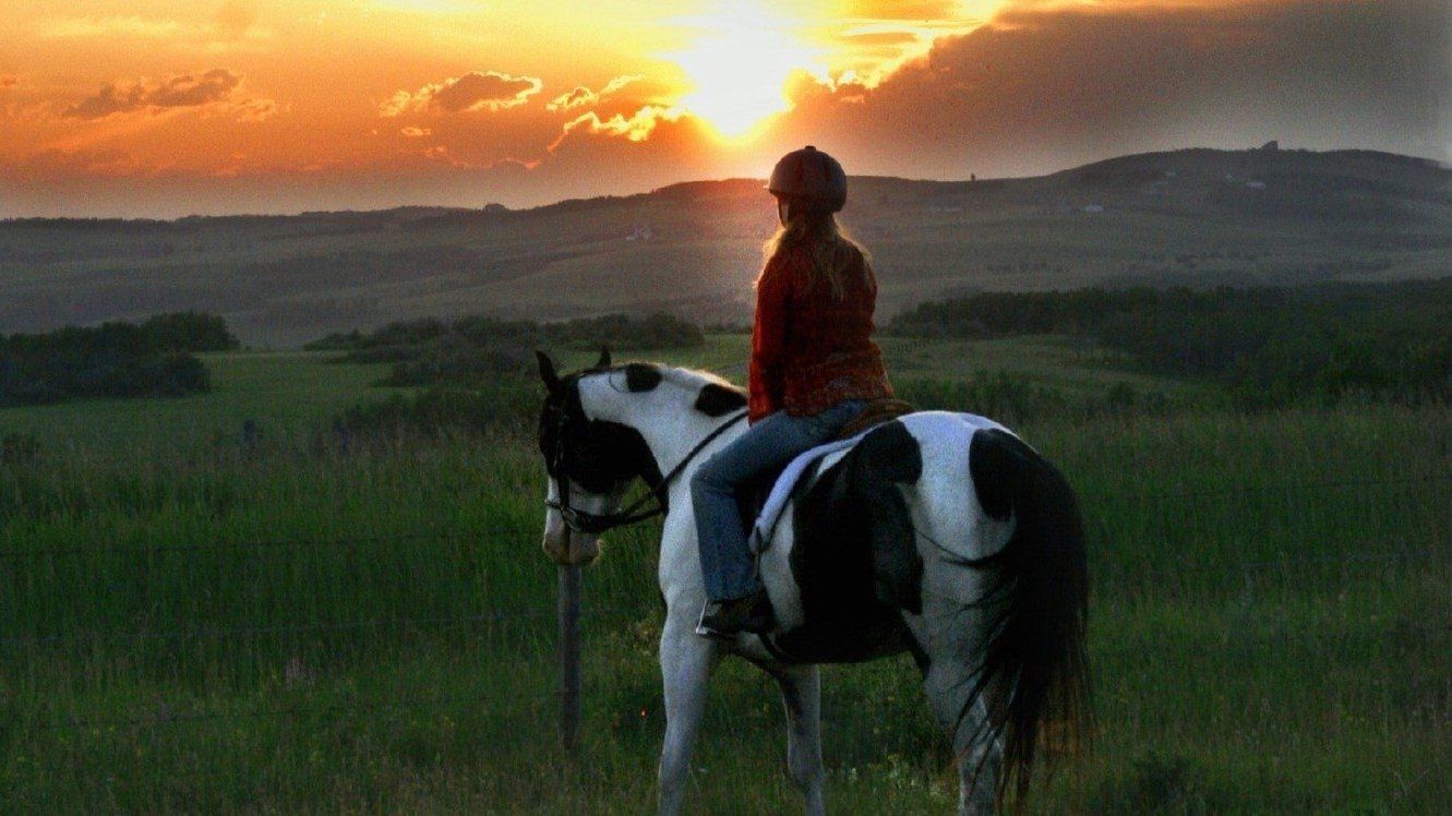 Watch Moondance Alexander (2007)