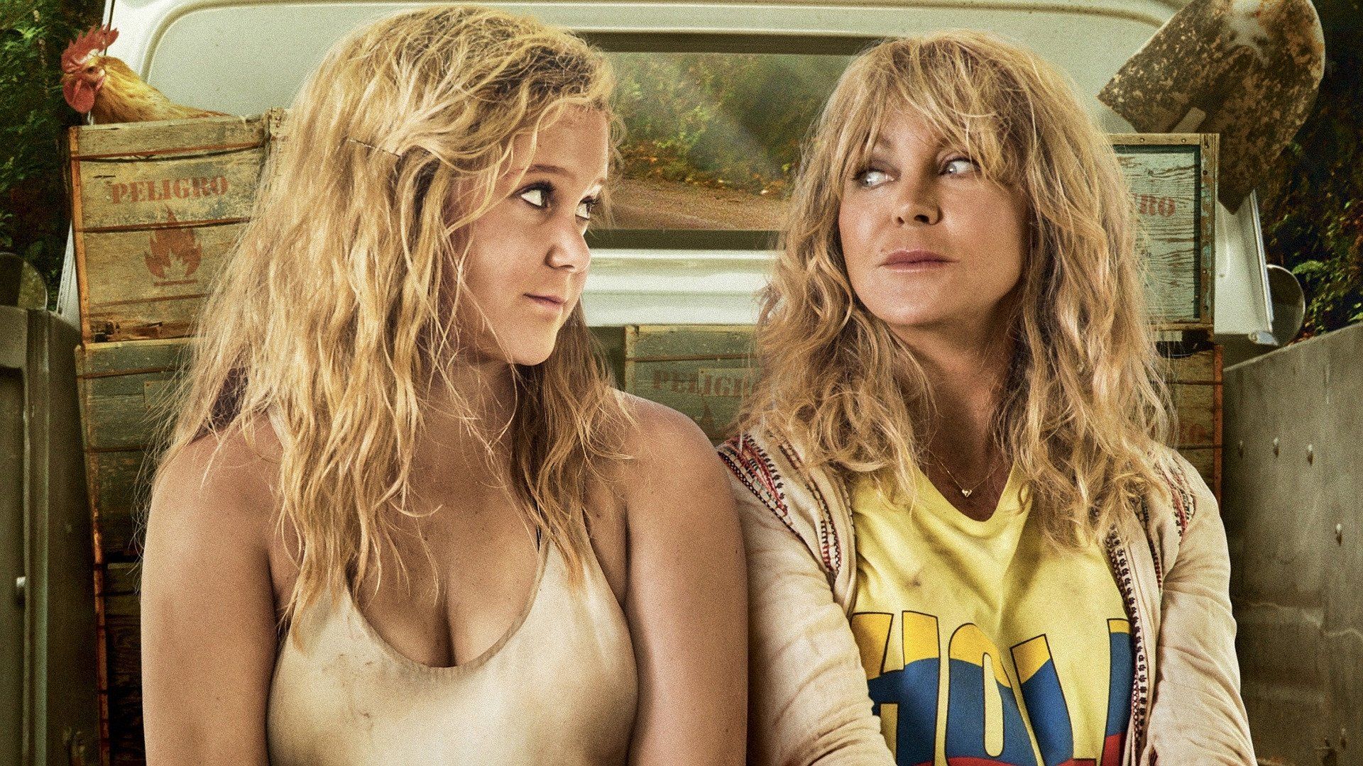 Watch Snatched (2017)