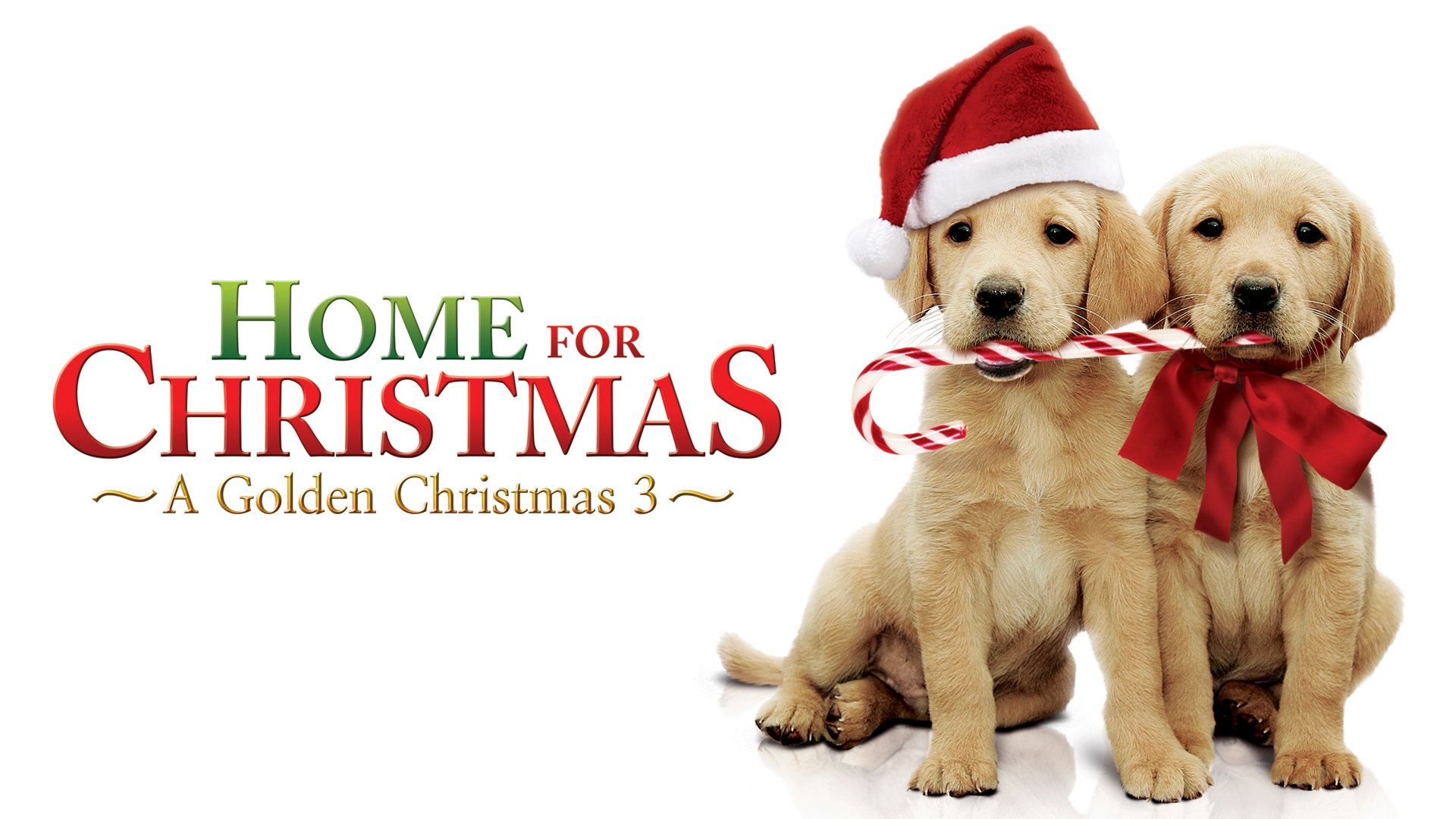 Watch A Golden Christmas 3 (2013)