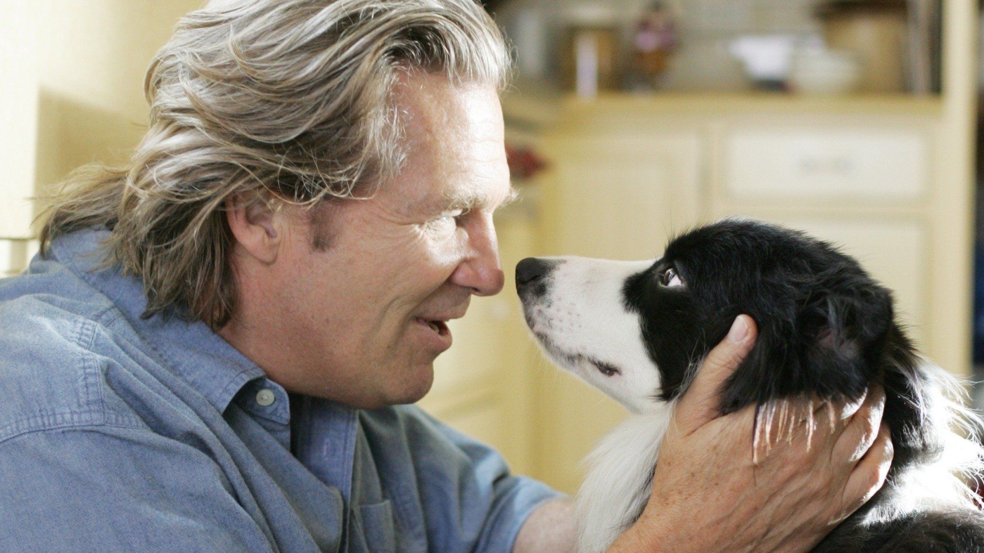 Watch A Dog Year (2009)