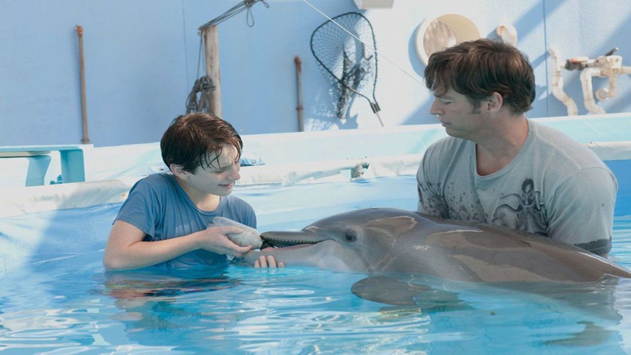 Watch Dolphin Tale (2011)