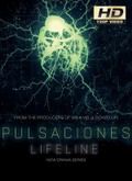 Pulsaciones - 1ª Temporada [720p]