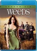 Weeds - 6ª Temporada [720pp]