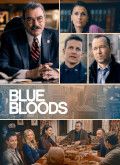 Blue Bloods - 13ª Temporada [720p]