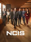 Navy Investigacion Criminal - 21ª Temporada [720p]