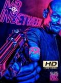 Mr. Inbetween - 2ª Temporada [720p]
