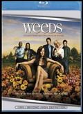 Weeds - 2ª Temporada [720pp]