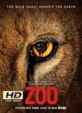 Zoo - 1ª Temporada [720p]