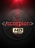 Scorpion - 1ª Temporada [720p] 