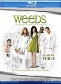 Weeds - 3ª Temporada [720pp]