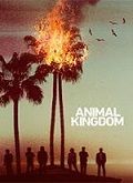 Animal Kingdom - 1ª Temporada  