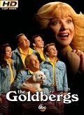 Los Goldberg - 1ª Temporada [720p]