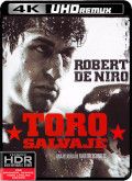 Toro salvaje [4K]