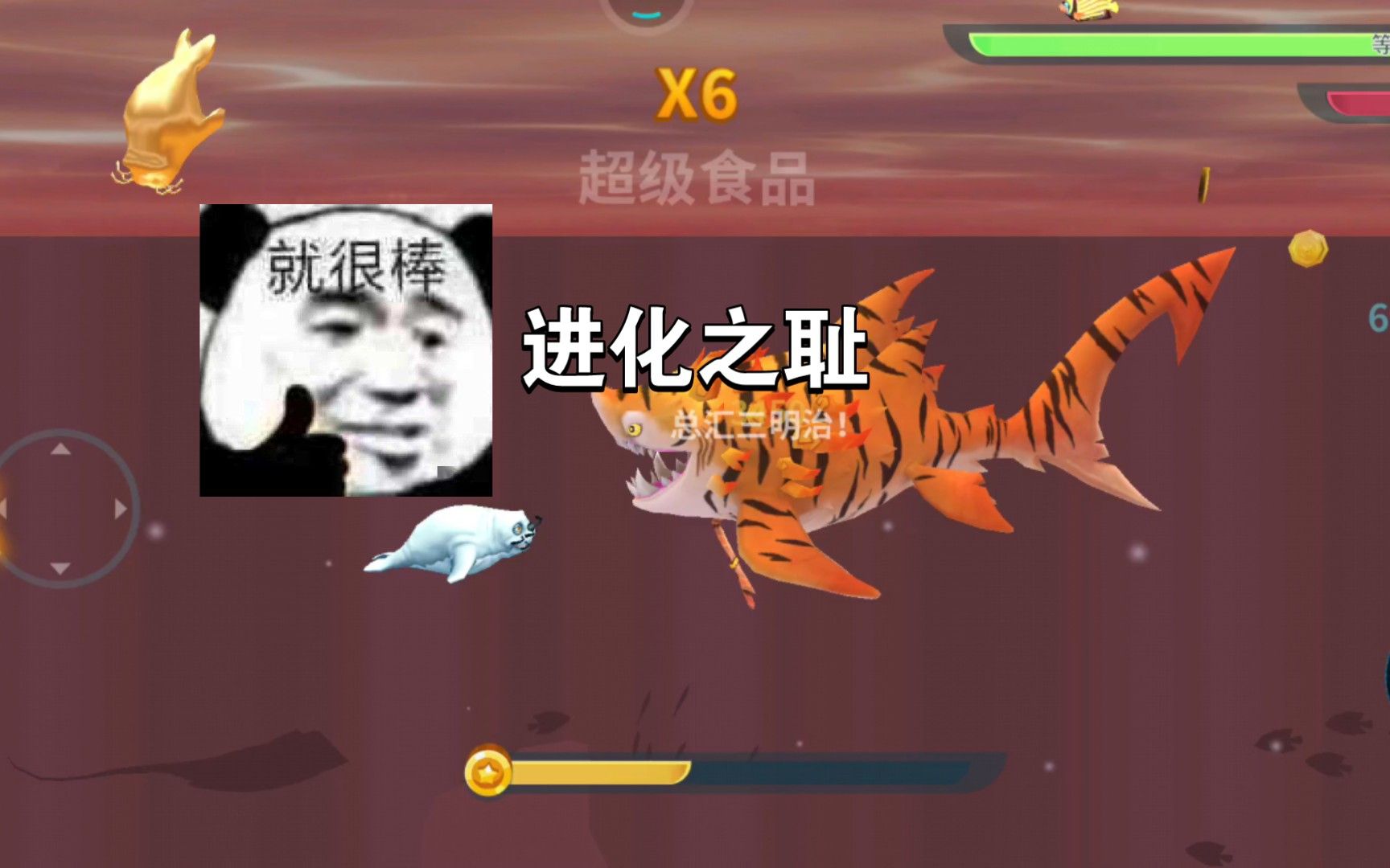 盘点！那些进化不如不进化的鲨鱼。