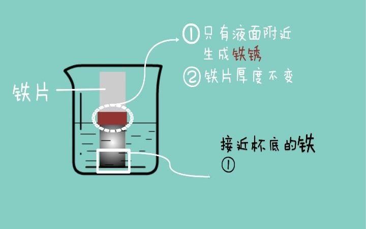 金属腐蚀新发现