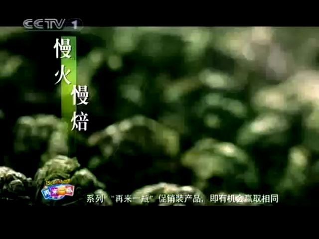 央视广告欣赏-(2010)康师傅铁观音茶