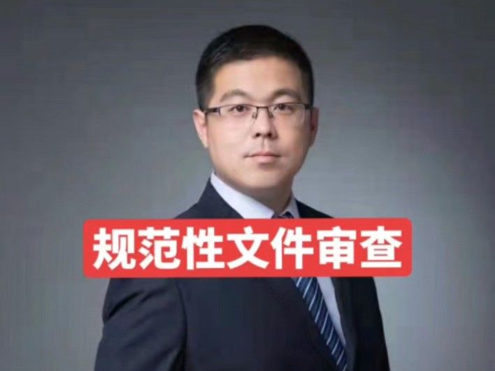 规范性文件审查