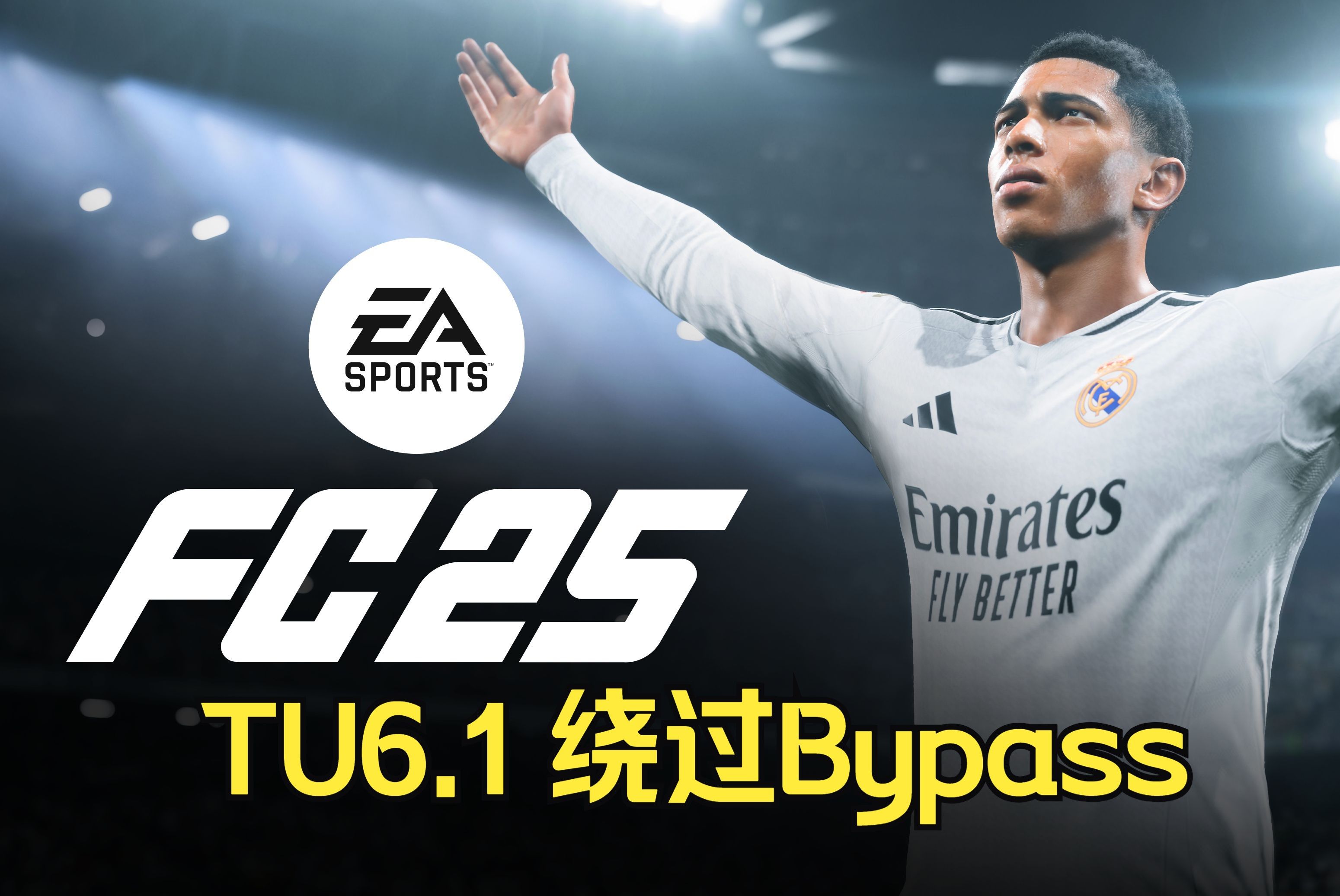 EA FC25 TU6.1 绕过版教程