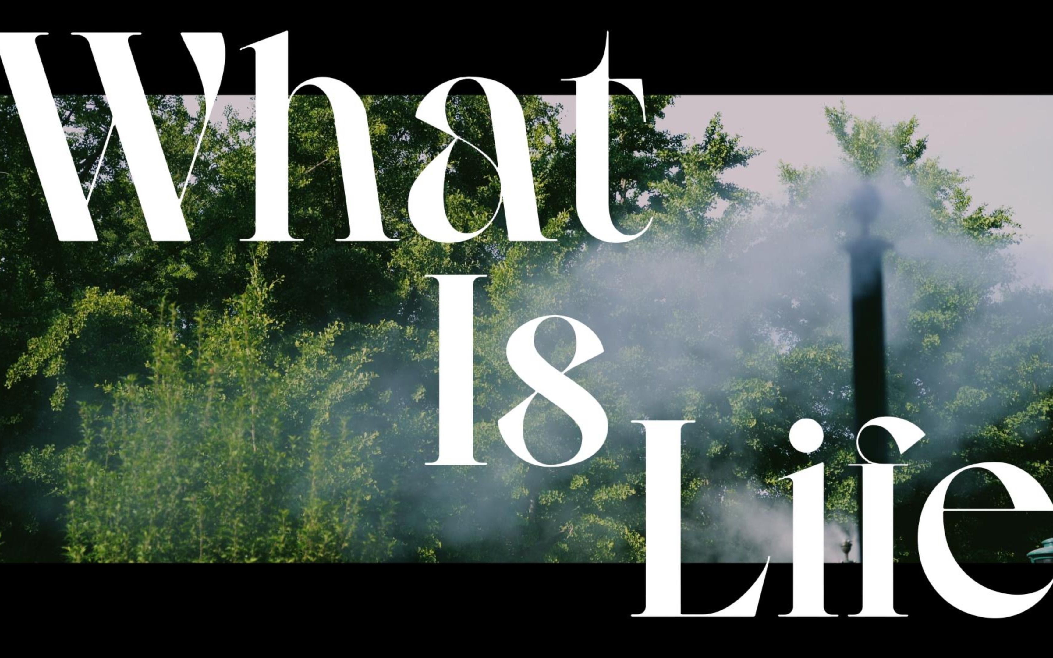 学生短片｜人大大一影像技术作业｜What Is Life｜英文双语｜4K