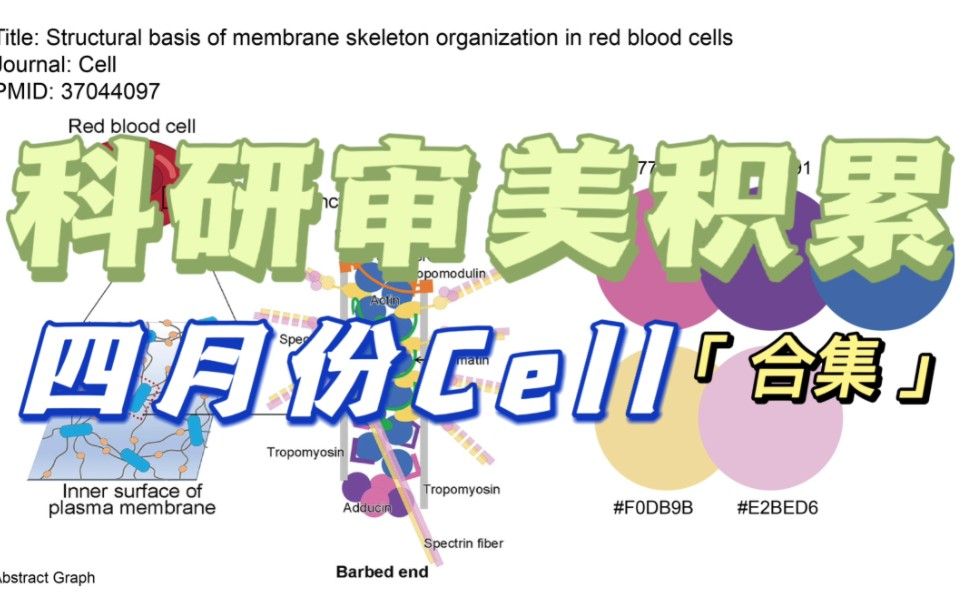 【科研审美积累】Day9 2023.04 Cell 色板合集