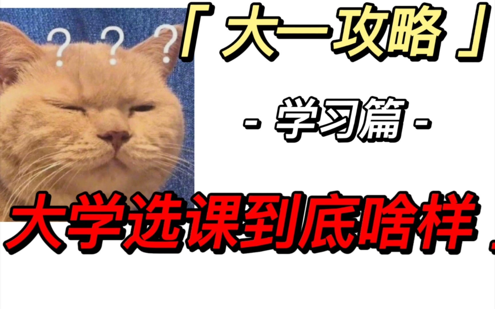 【新生必读】大学选课到底是什么样~早知道早准备