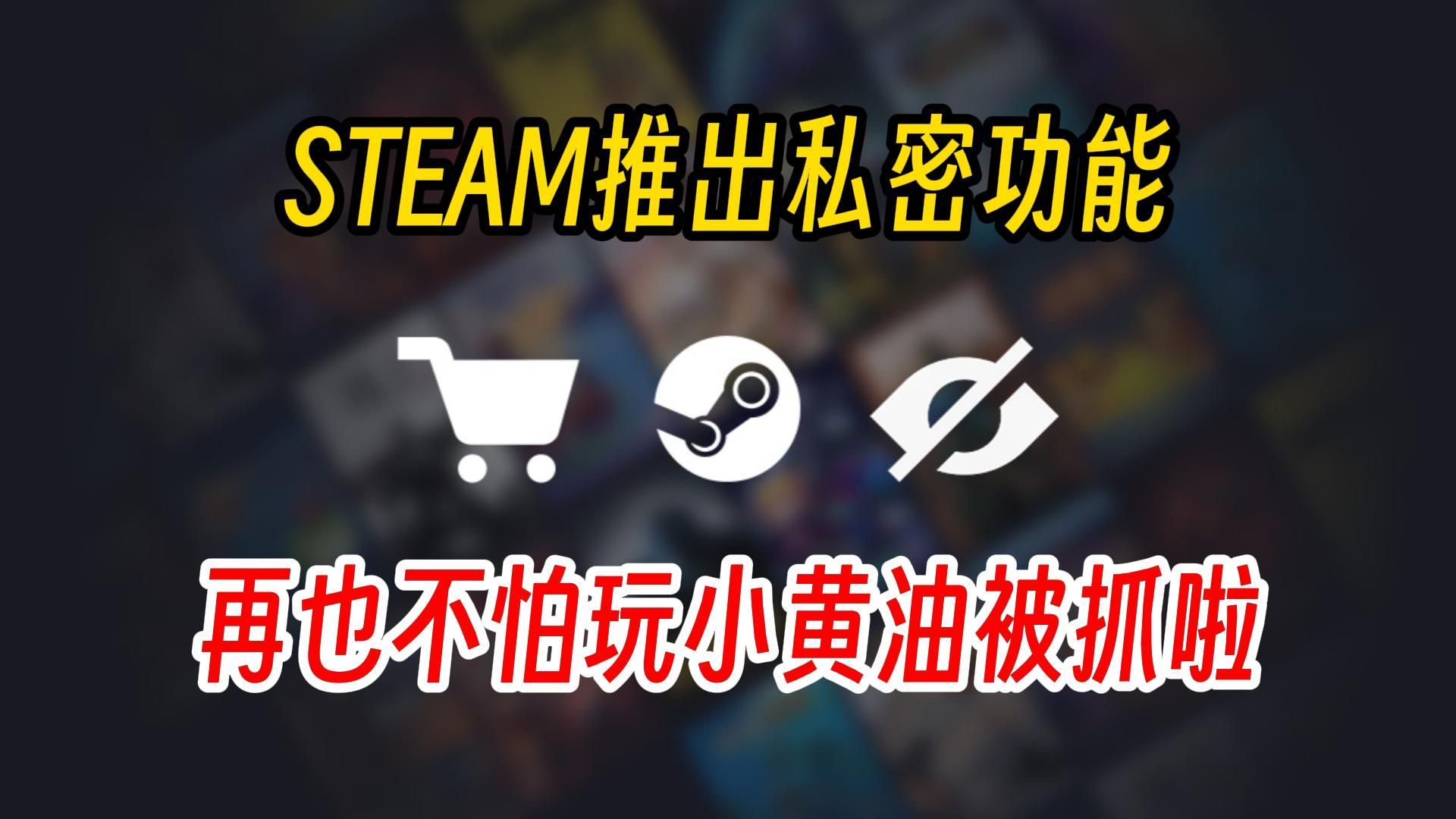 妈妈再也不担心我玩小黄油被好友抓到啦！STEAM推出私密游戏功能。
