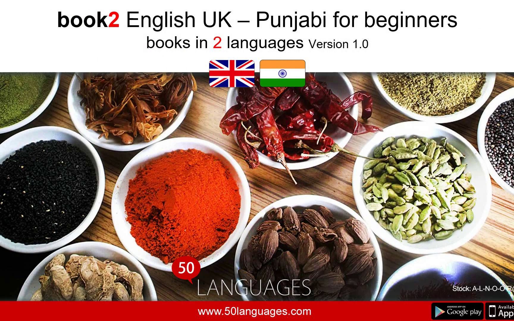 初级旁遮普语-全100课 Punjabi for beginners in 100 lessons