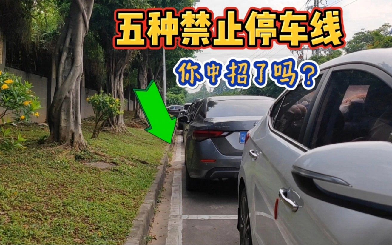 五种禁止停车标线，10年老司机都容易中招，斯令再讲一次请记住