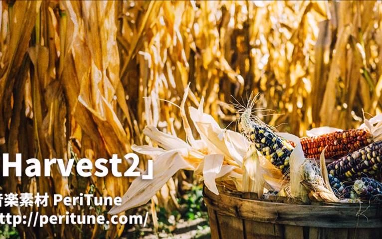 【無料フリーBGM・民族】Harvest2【SeikoP】