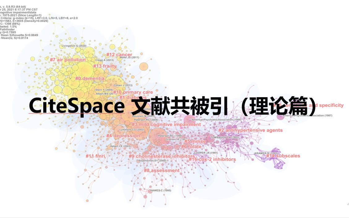 CiteSpace文献共被引（理论篇）