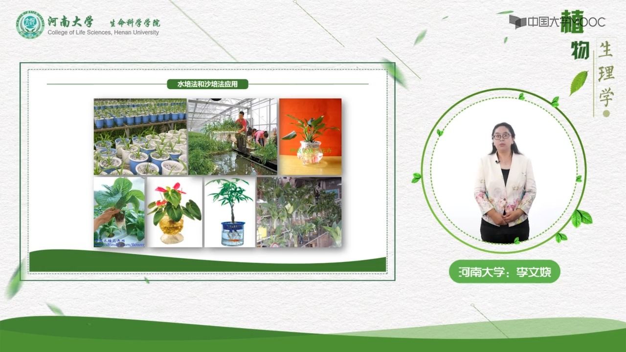 [2.1.1]--植物必需的矿质元素