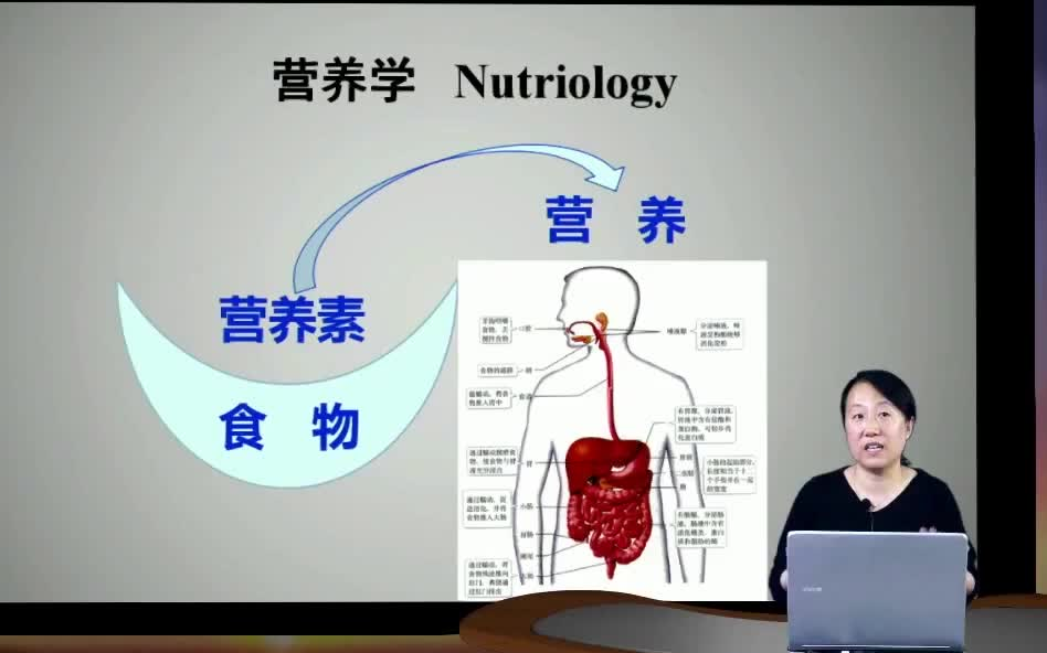 你真的会吃饭吗？减肥，健身，必学的营养知识基础