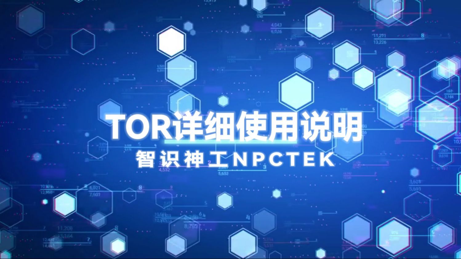 【智识神工】TOR详细使用说明
