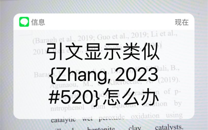 EndNote 插入参考文献显示类似{Zhang, 2023 #520}怎么办之2.0