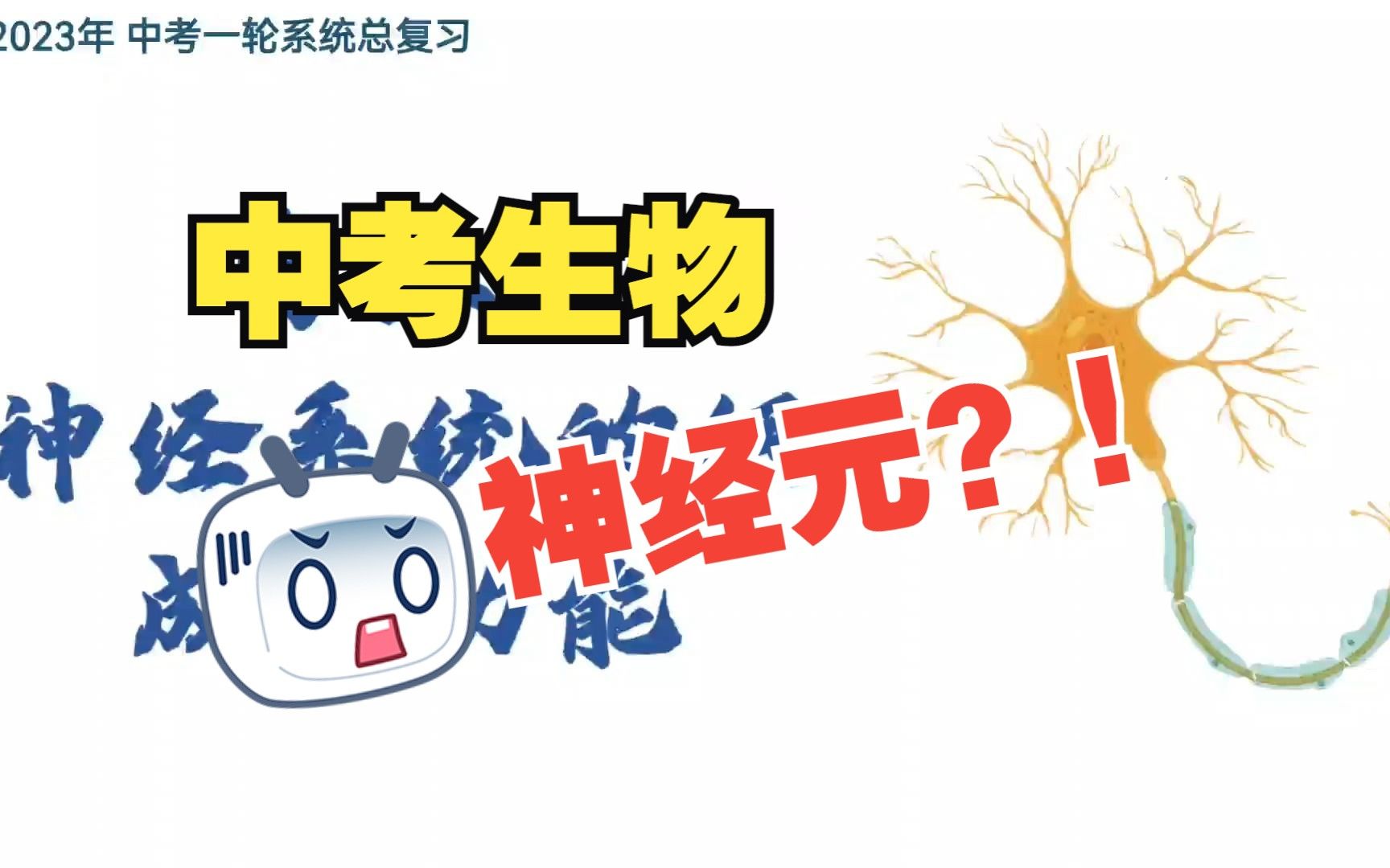 【中考生物】精讲难点：神经系统和神经元 | 七下：生物圈种的人 | 2024版最新中考