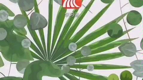 【学习通】老师专用课堂组织方案——上课前中后