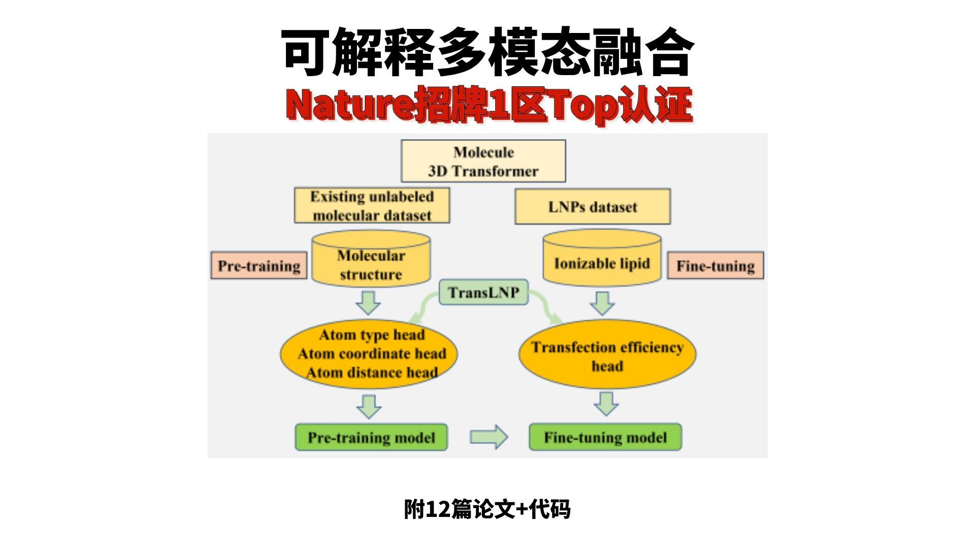 Nature招牌1区Top认证！可解释多模态融合模型取得重大突破！
